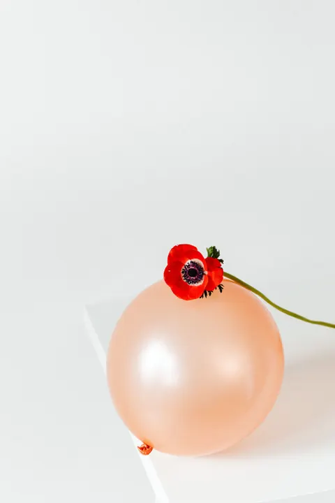 Peach Minimal Phone Wallpaper · pastel · 1440×2160