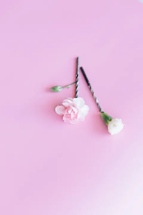 Peach Minimal Phone Wallpaper · pastel · 1440×2160