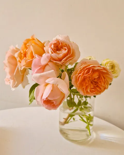 Peach Minimal Phone Wallpaper · pastel · 1440×1800