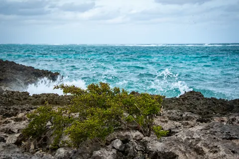 Rocky Shore 4K Wallpaper · ocean · 3840×2553