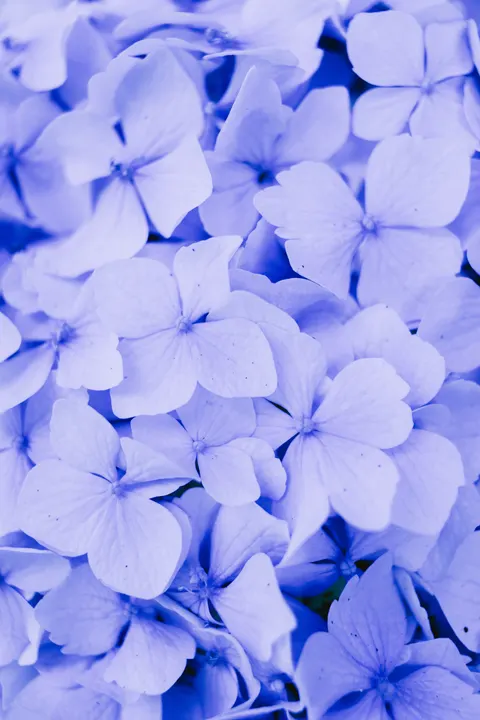 Soft Blue Phone Wallpaper · pastel · 1440×2160