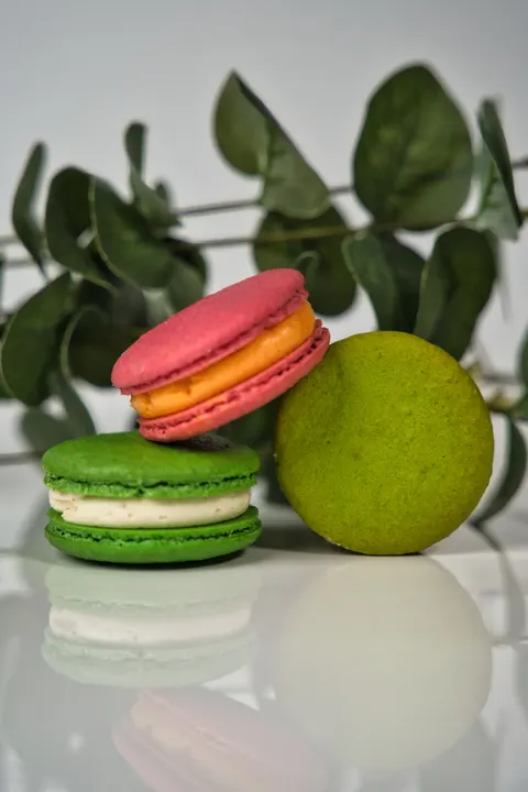 Macaron Phone Wallpaper · pastel · 1440×2160