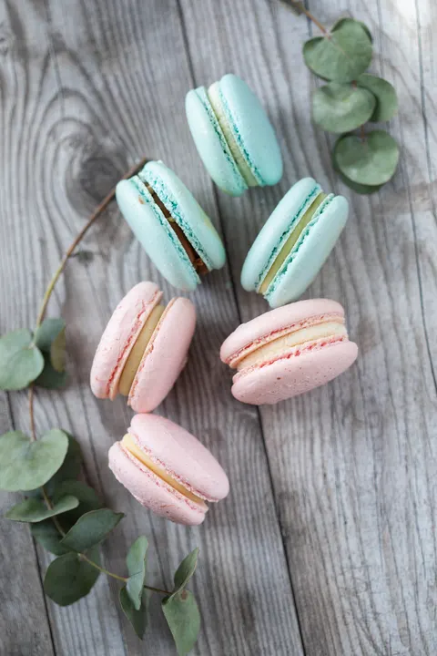 Macaron Phone Wallpaper · pastel · 1440×2160