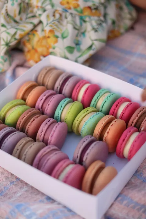 Macaron Phone Wallpaper · pastel · 1440×2159