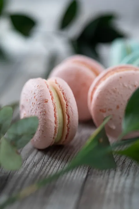Macaron Phone Wallpaper · pastel · 1440×2160