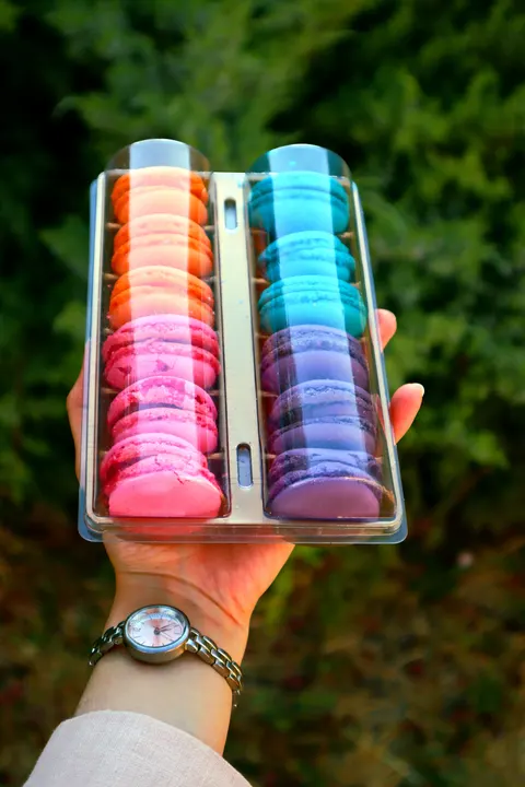 Macaron Phone Wallpaper · pastel · 1440×2160