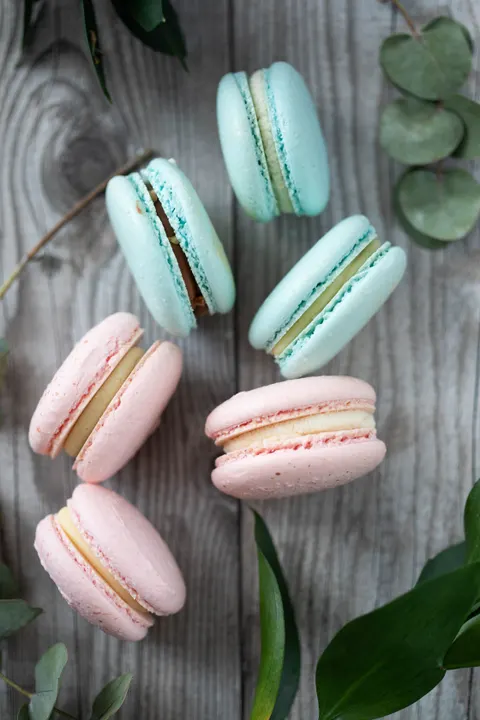 Macaron Phone Wallpaper · pastel · 1440×2160
