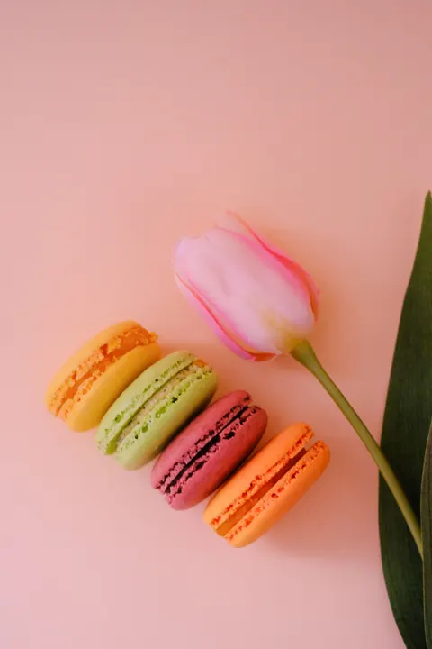 Macaron Phone Wallpaper · pastel · 1440×2160