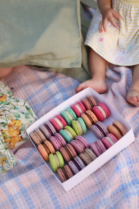 Macaron Phone Wallpaper · pastel · 1440×2159