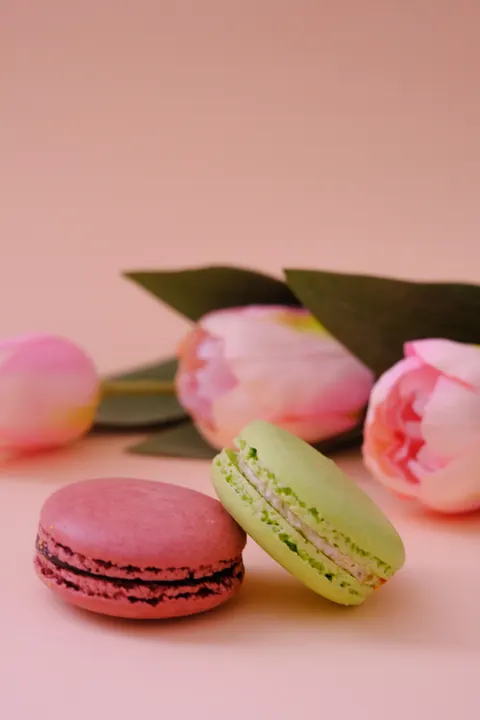 Macaron Phone Wallpaper · pastel · 1440×2160