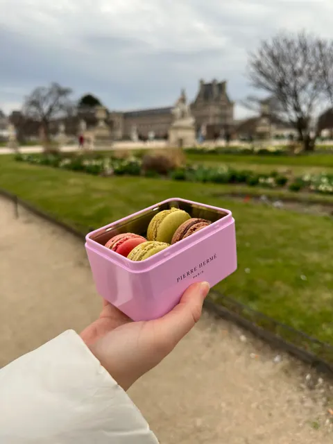 Macaron Phone Wallpaper · pastel · 1440×1920