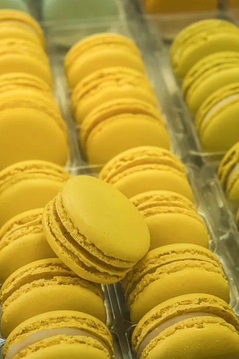 Macaron Phone Wallpaper · pastel · 1440×2160