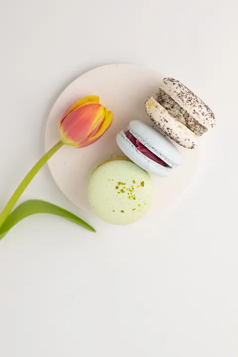 Macaron Phone Wallpaper · pastel · 1440×2160