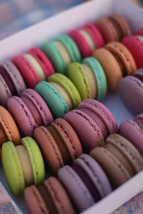Macaron Phone Wallpaper · pastel · 1440×2159
