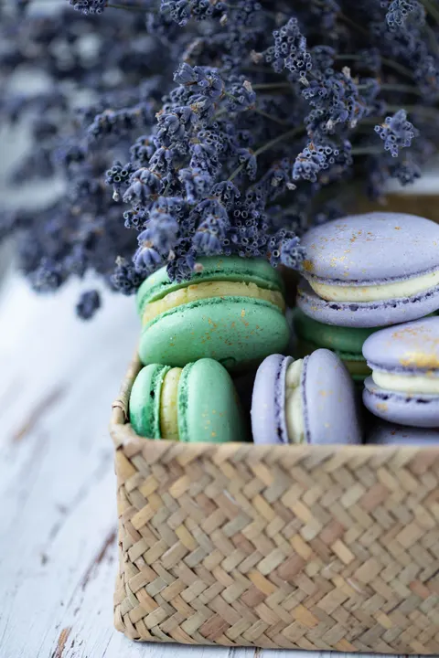 Macaron Phone Wallpaper · pastel · 1440×2160