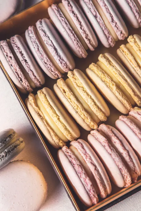 Macaron Phone Wallpaper · pastel · 1440×2160
