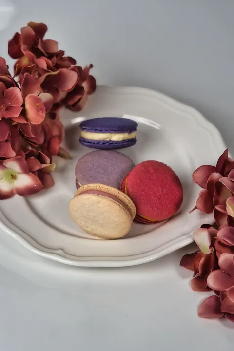 Macaron Phone Wallpaper · pastel · 1440×2160
