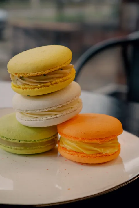 Macaron Phone Wallpaper · pastel · 1440×2160