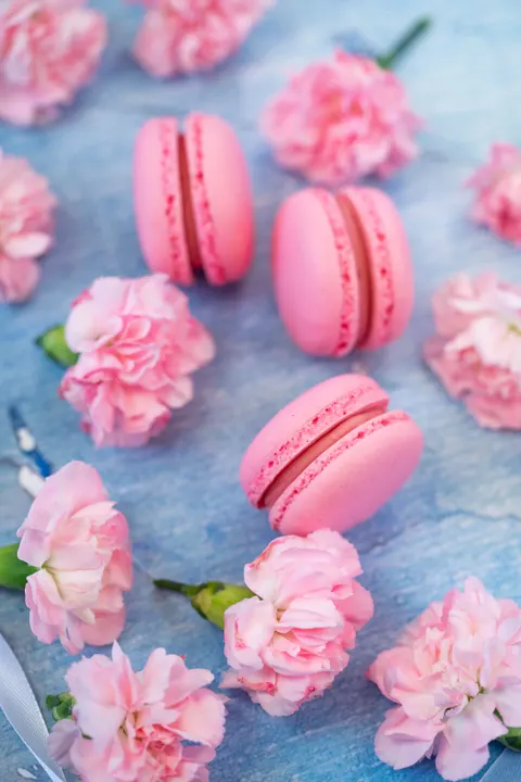 Macaron Phone Wallpaper · pastel · 1440×2160