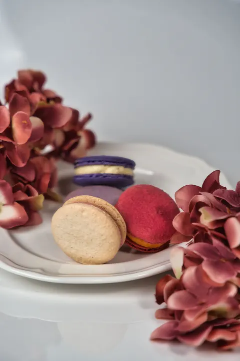 Macaron Phone Wallpaper · pastel · 1440×2160