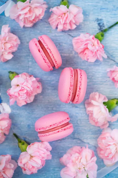 Macaron Phone Wallpaper · pastel · 1440×2160