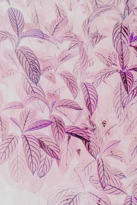 Pastel Soft Phone Wallpaper · pastel · 1440×2160
