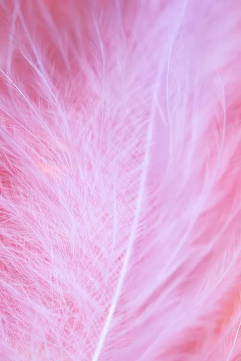 Pastel Soft Phone Wallpaper · pastel · 1440×2160