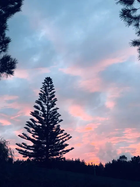 Pastel Clouds Phone Wallpaper · pastel · 1440×1920