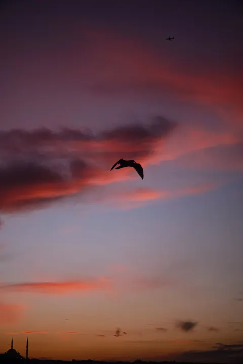 Pastel Clouds Phone Wallpaper · pastel · 1440×2160