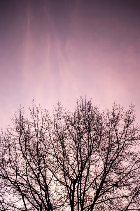 Pastel Clouds Phone Wallpaper · pastel · 1440×2166