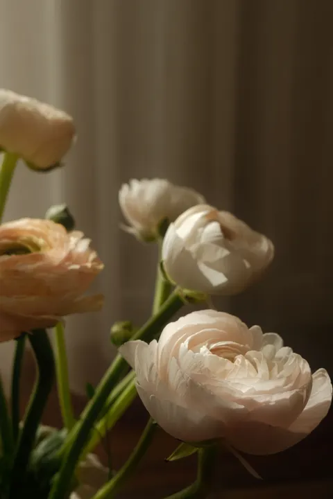 Pastel Blooms Phone Wallpaper · pastel · 1440×2160