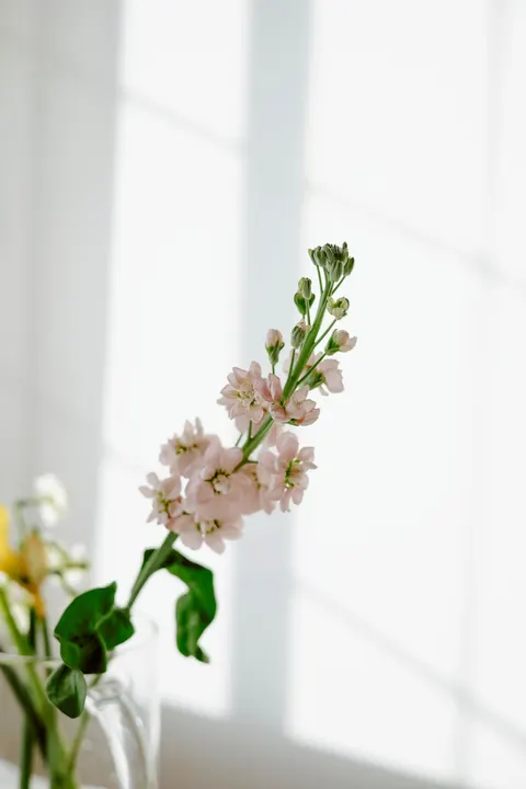 Pastel Blooms Phone Wallpaper · pastel · 1440×2160