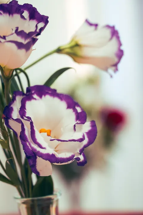 Pastel Blooms Phone Wallpaper · pastel · 1440×2160