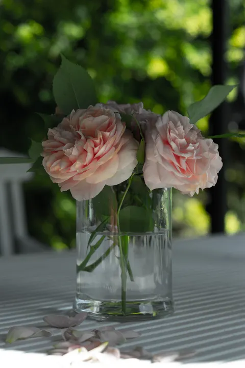 Pastel Blooms Phone Wallpaper · pastel · 1440×2160