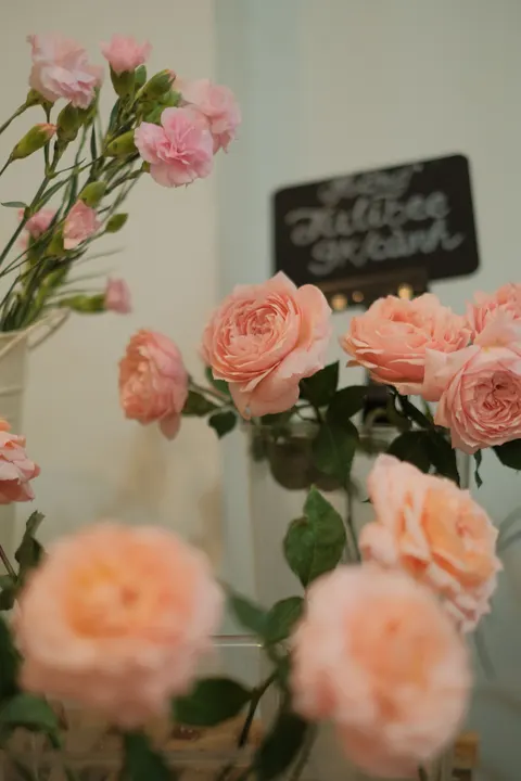 Pastel Blooms Phone Wallpaper · pastel · 1440×2160