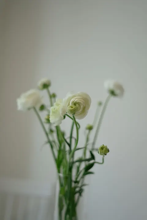 Pastel Blooms Phone Wallpaper · pastel · 1440×2160