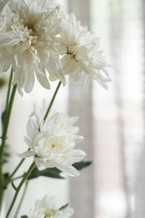 Pastel Blooms Phone Wallpaper · pastel · 1440×2160