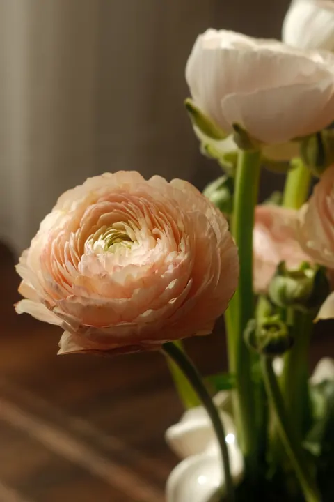 Pastel Blooms Phone Wallpaper · pastel · 1440×2160