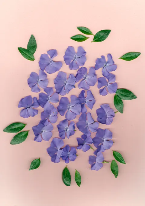 Mint Lavender Phone Wallpaper · pastel · 1440×2036