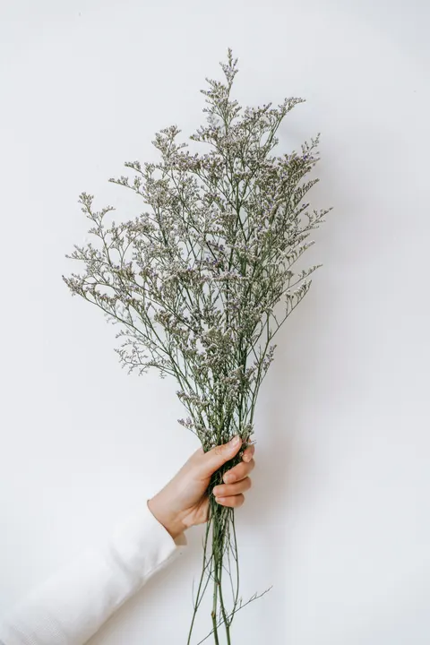Mint Lavender Phone Wallpaper · pastel · 1440×2160