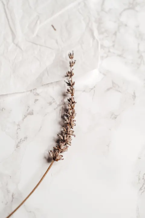 Mint Lavender Phone Wallpaper · pastel · 1440×2160