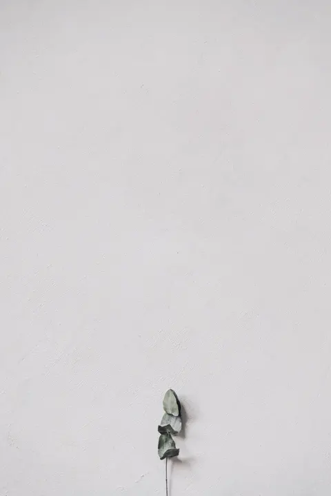 Mint Lavender Phone Wallpaper · pastel · 1440×2160