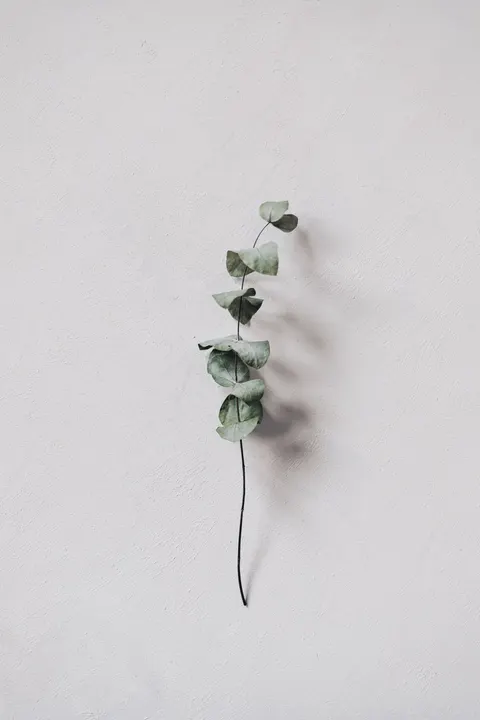 Mint Lavender Phone Wallpaper · pastel · 1440×2160