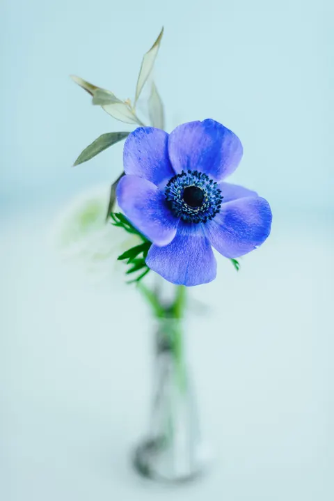 Mint Lavender Phone Wallpaper · pastel · 1440×2157