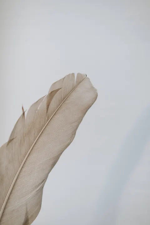 Cream Minimal Phone Wallpaper · pastel · 1440×2160