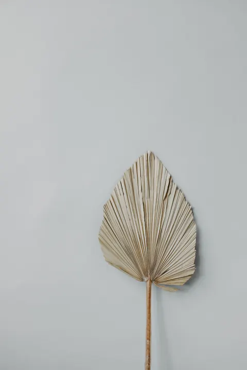 Cream Minimal Phone Wallpaper · pastel · 1440×2160