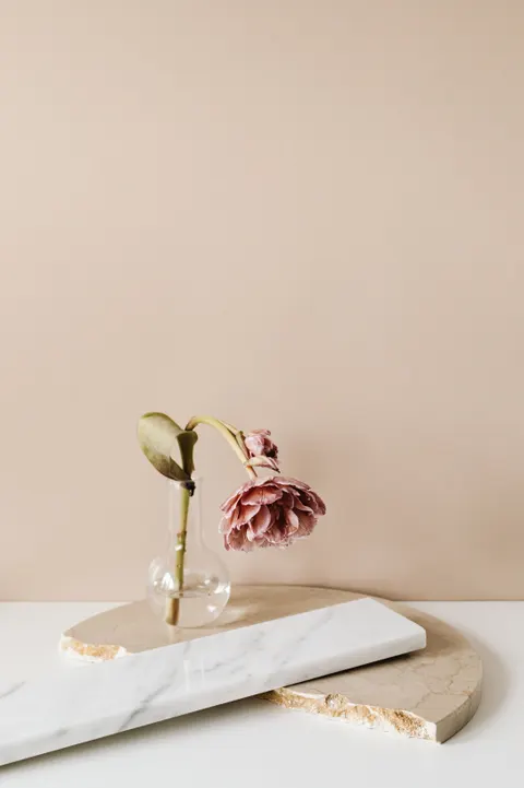 Cream Minimal Phone Wallpaper · pastel · 1440×2160
