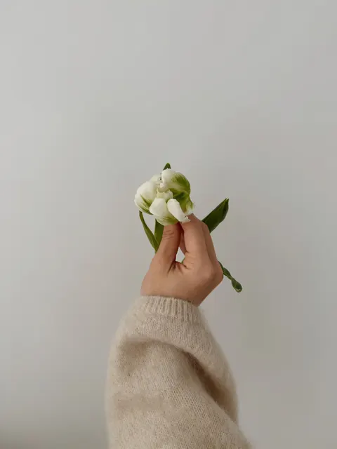 Cream Minimal Phone Wallpaper · pastel · 1440×1920