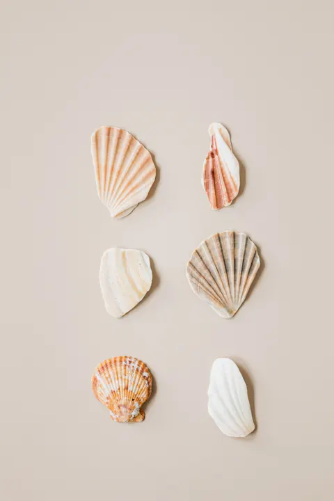 Cream Minimal Phone Wallpaper · pastel · 1440×2160