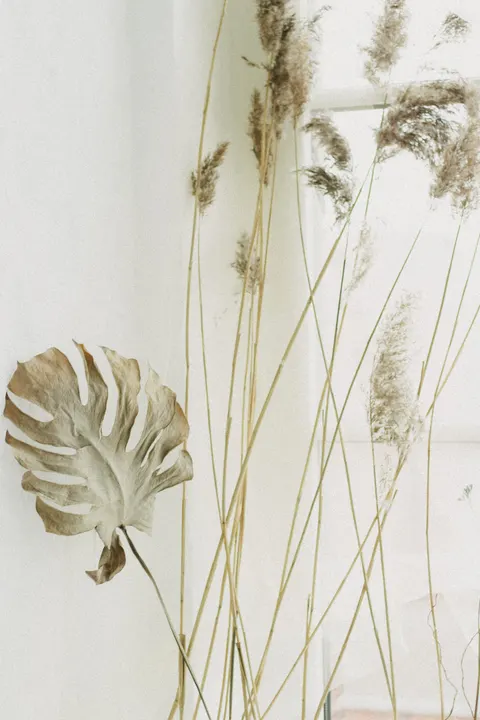 Cream Minimal Phone Wallpaper · pastel · 1440×2160